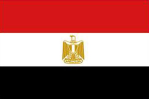 اعلام الدول العربية - علم مصر