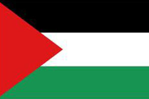 اعلام الدول العربية - علم فلسطين