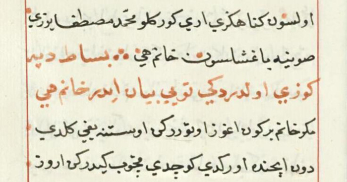 اللغات الأكثر تأثيراً على اللهجات العربية - التركية