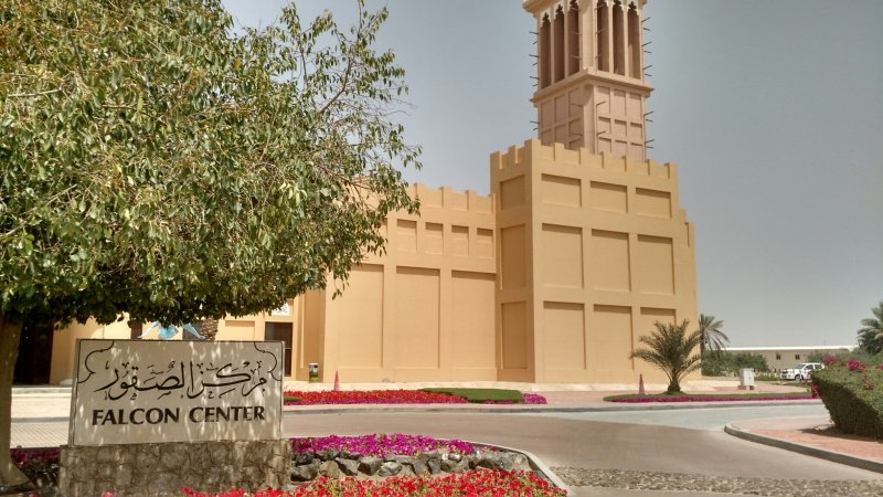 تربية الصقور في الإمارات - تفاصيل تربية الصقور في الإمارات - متحف الصقور