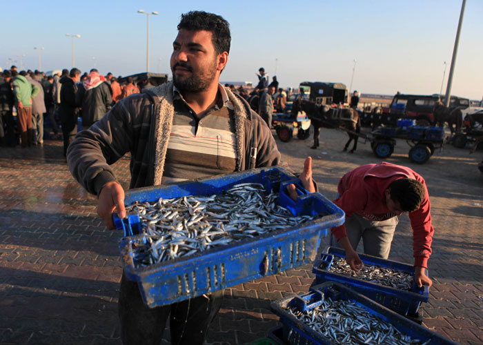 صيد السمك في غزة - صورة 5