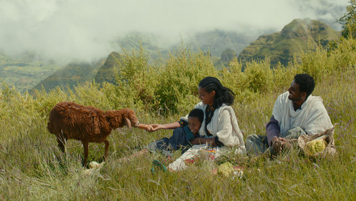 مهرجان قرطاج السينمائي - Lamb فيلم