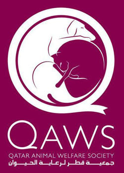 الحيوانات الأليفة في العالم العربي - Qaws