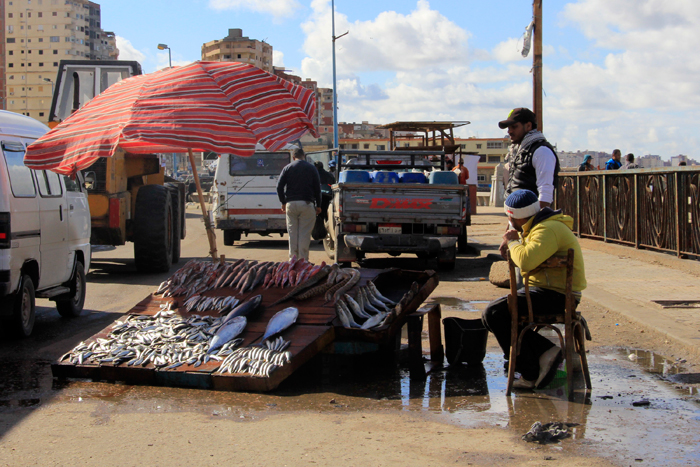 حي المكس في الإسكندرية - بائع سمك على الطريق