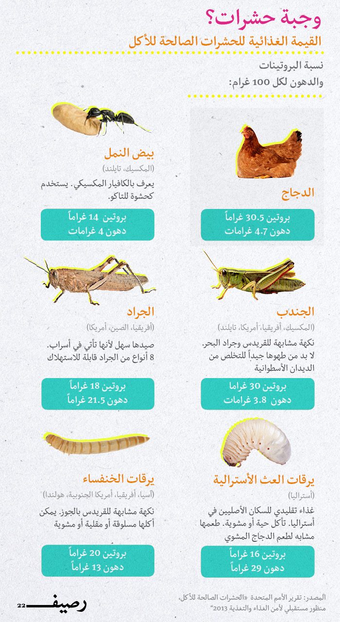 الحشرات طعام الإنسان - الفيم الغذائية
