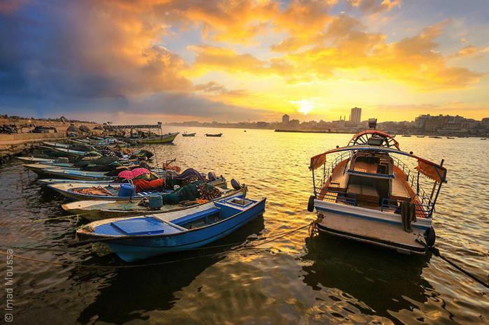 صور من غزة - مراكب الصيادين